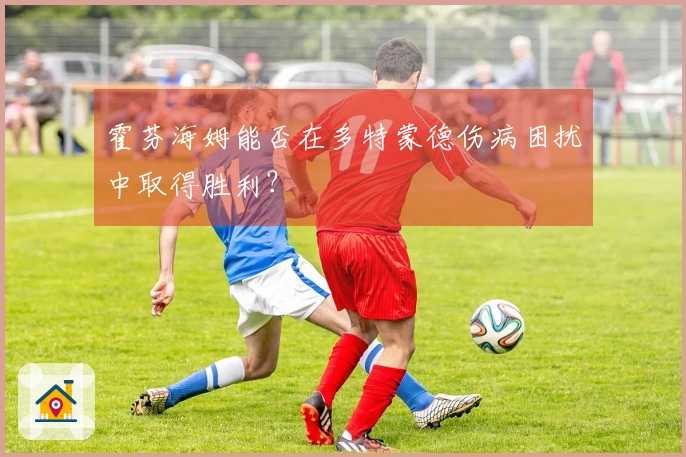 霍芬海姆能否在多特蒙德伤病困扰中取得胜利？