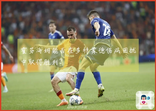 霍芬海姆能否在多特蒙德伤病困扰中取得胜利？